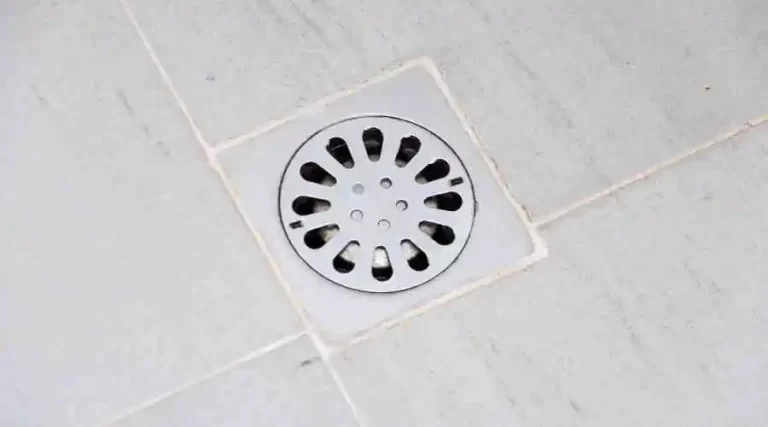WHAT DOES IT MEAN WHEN WATER COMES UP FROM THE SHOWER DRAIN