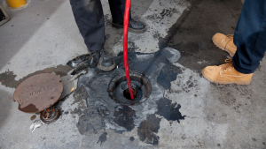 Sewer Line Maintenance