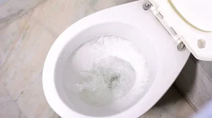 _Toilet